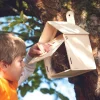 Haba -Terra Kids Stem Toys|Nature / Exploration^Bird Nesting Box Construction Kit