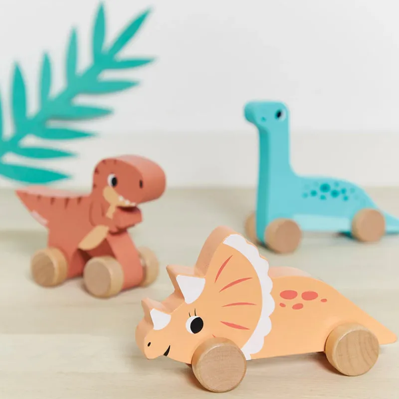 Janod Age 4|Age 3^Dino Push-Along (Assorted)