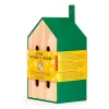 Kikkerland Teenager|Age 11 & 12^Little Butterfly House