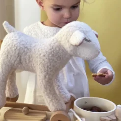 Egmont Toys Early Learning|Push / Pull^Mary Pull Along Lamb