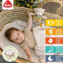 Fehn Musical / Auditory|Soft Toys^Mini Musical Bear