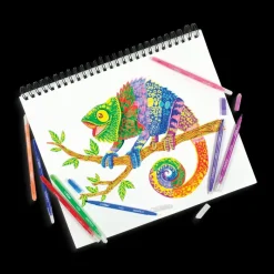 Ooly Art / Craft|Stationery^Switch-eroo Colour Changing Markers/24