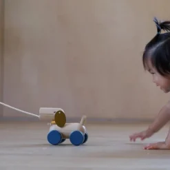 Plan Toys Active Play|Push / Pull^Push and Pull Puppy