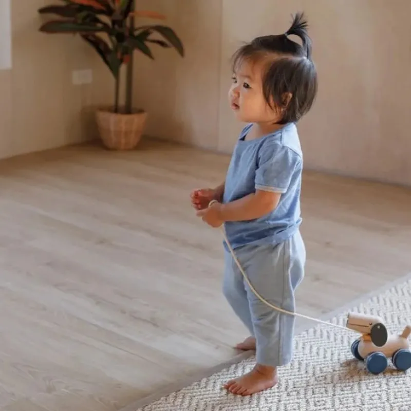 Plan Toys Active Play|Push / Pull^Push and Pull Puppy