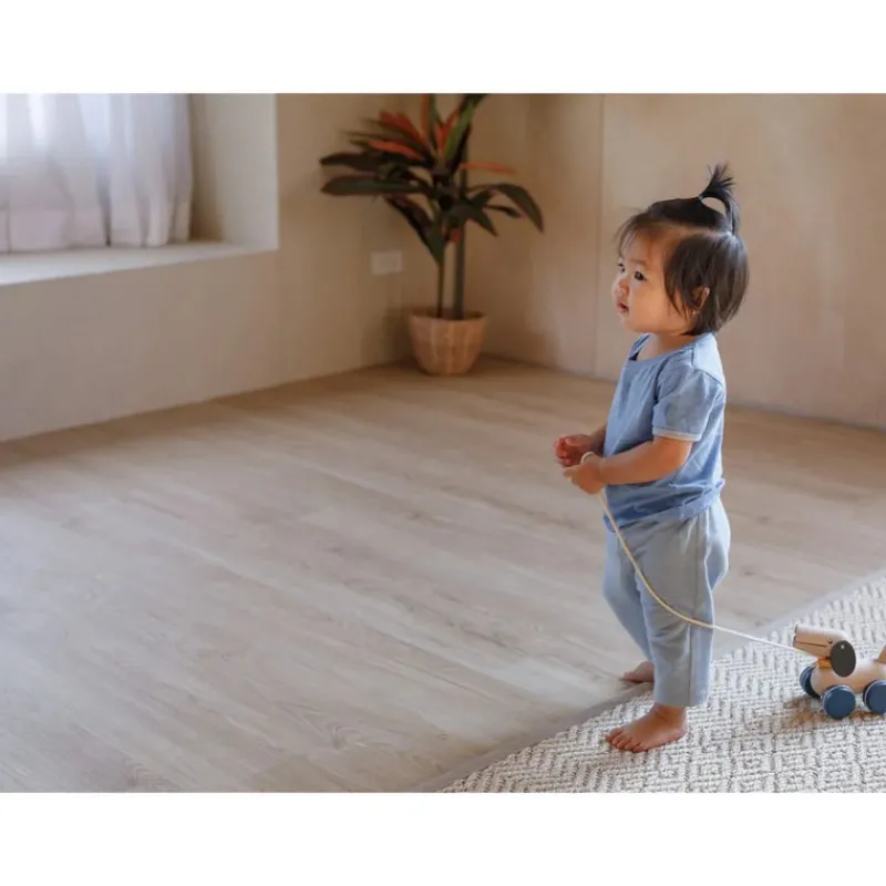Plan Toys Active Play|Push / Pull^Push and Pull Puppy