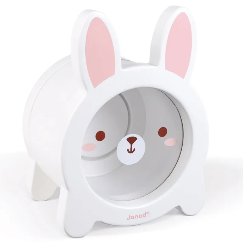 Janod Age 7 & 8|Age 5 & 6^Rabbit Moneybox
